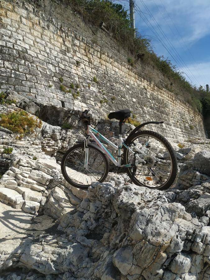 Фото Гостевого дома Гостевой дом Мария Цандрыпш 14